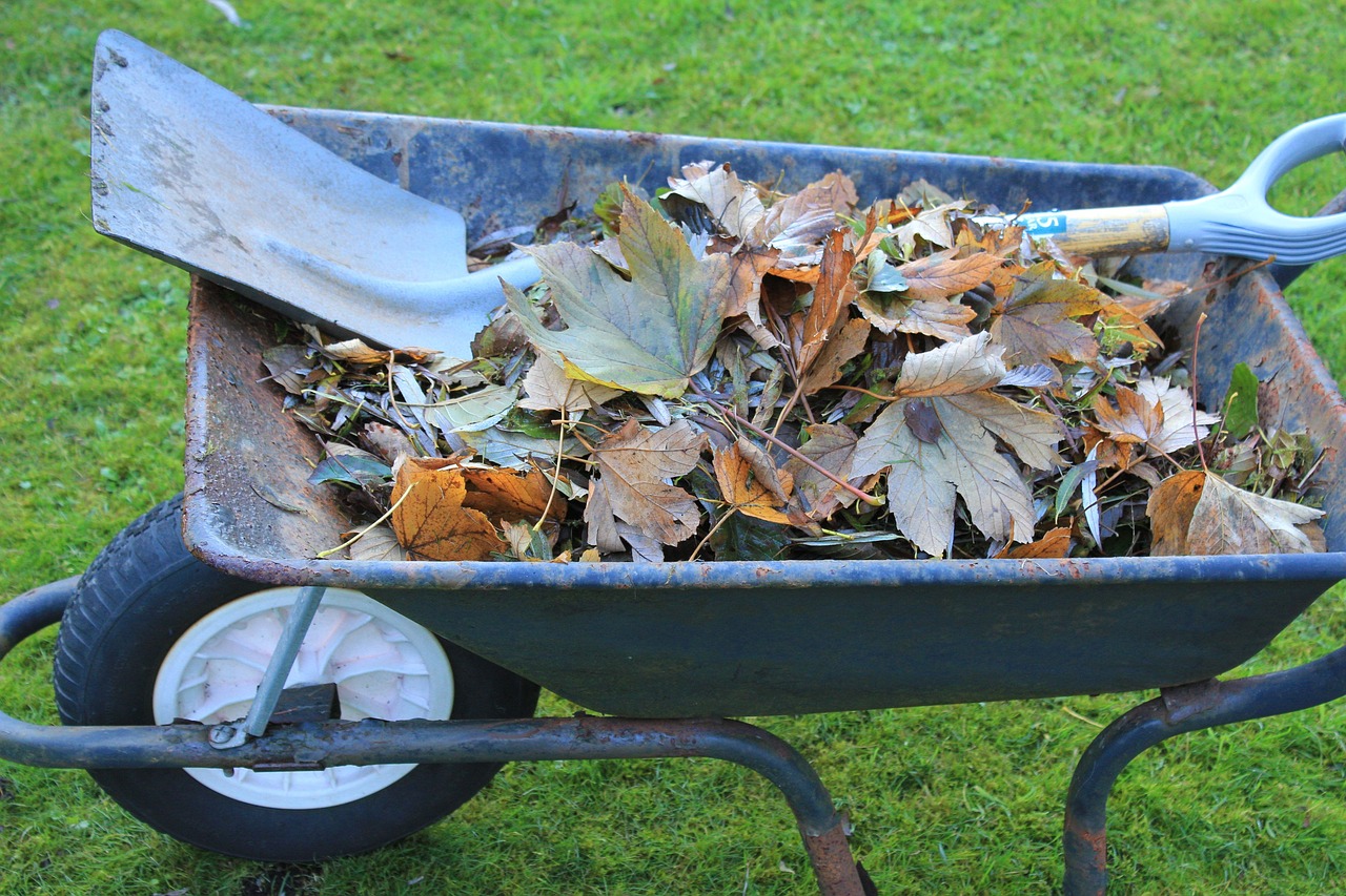 10 Ways to Engage in Eco-Friendly Home Renovation